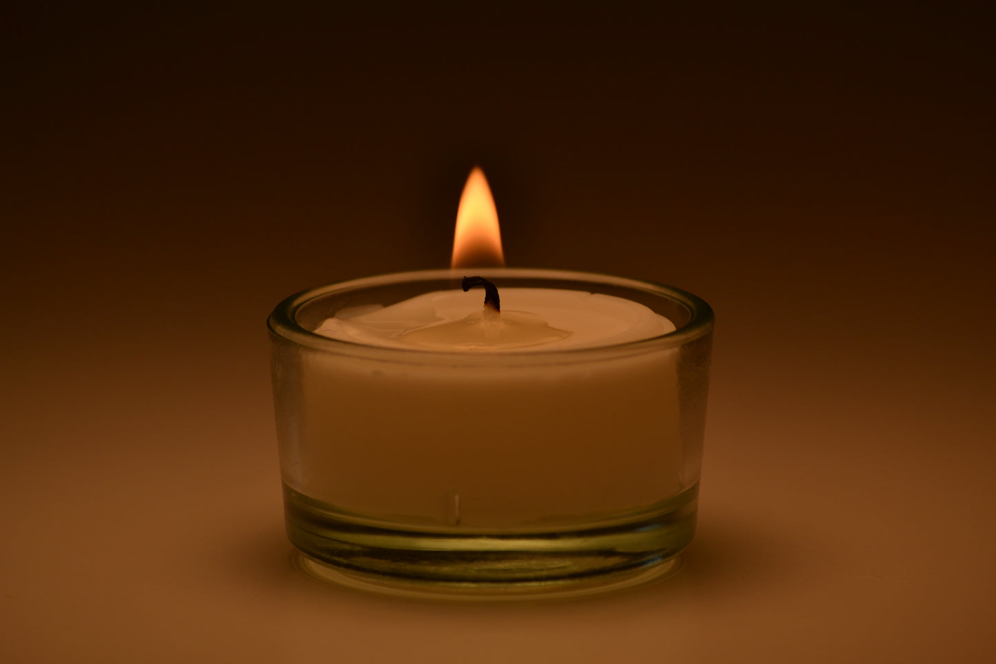 Veilchenkuss 12er Pack